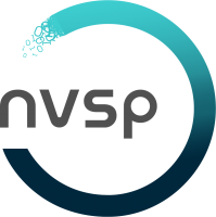 NVSP, a.s. NVSP, a.s.